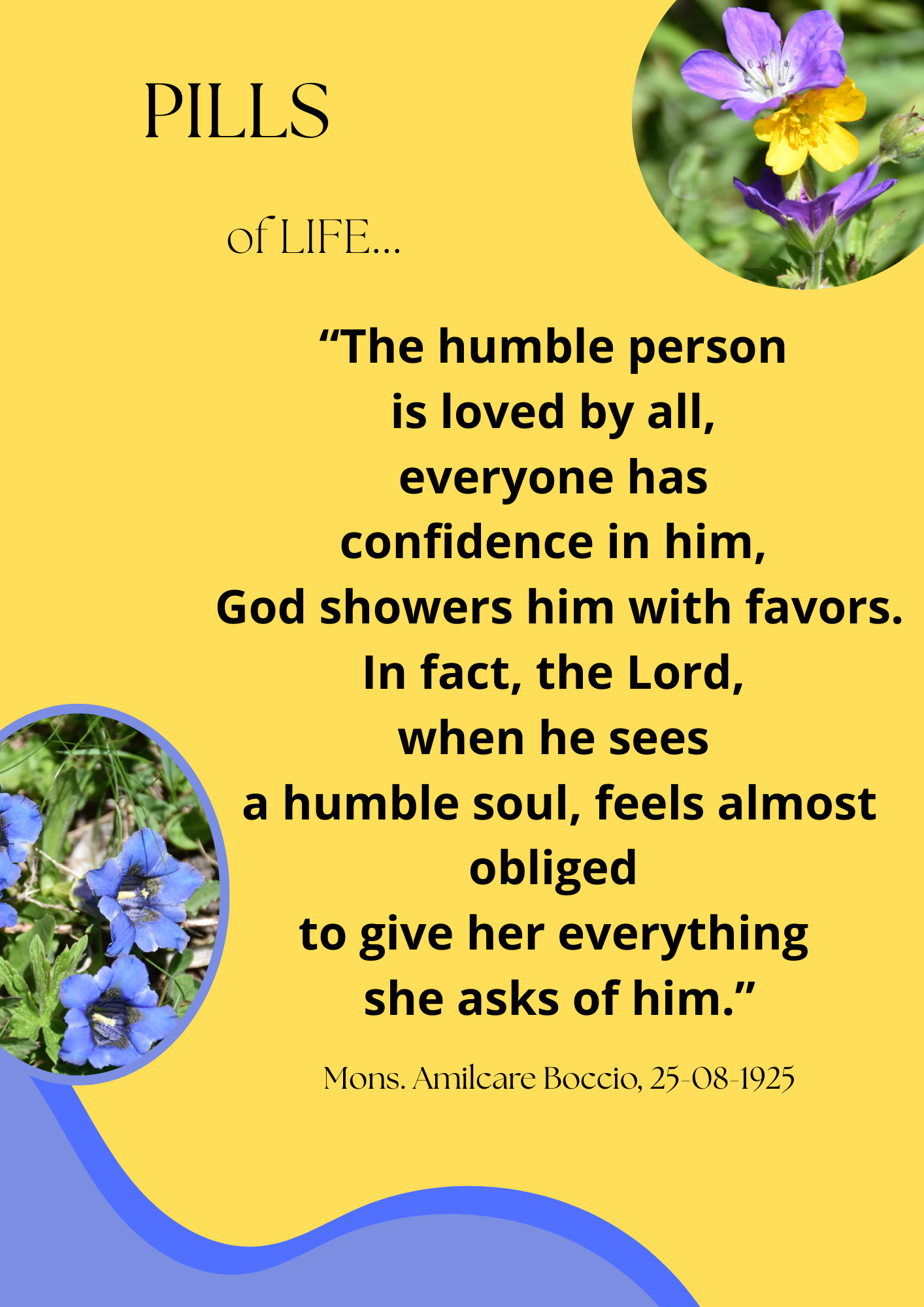 Piccole Figlie del Sacro Cuore di Ges&ugrave;